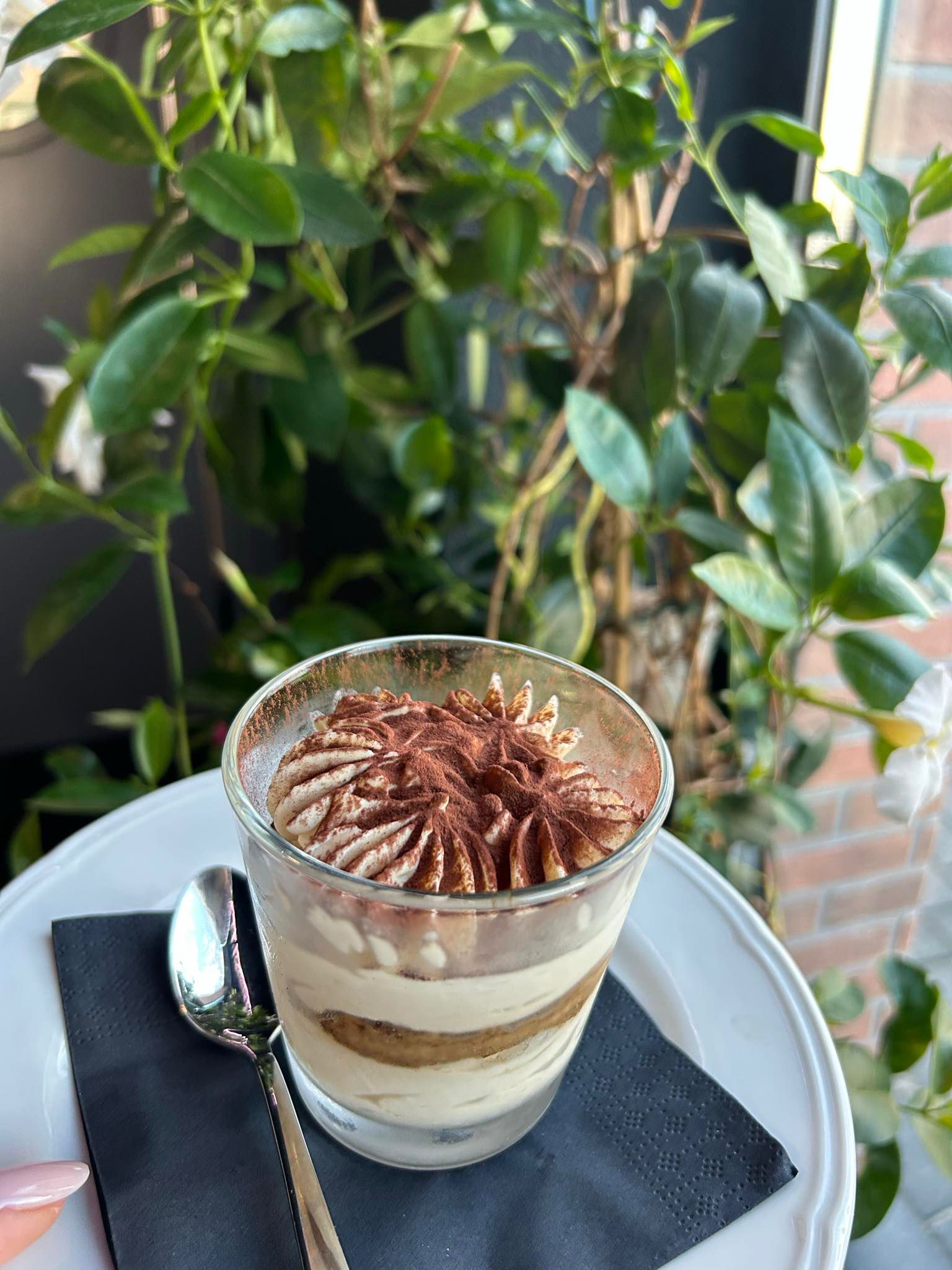 Tiramisu Classico